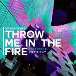 Artwork für "Throw Me in the Fire"