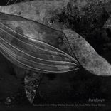 Artwork for "Venomous Incl. Mikey Martin, Imanol, Eric Ross, Mike Mauri Remix"