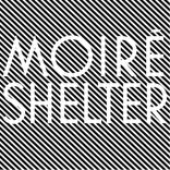Artwork für "Shelter"
