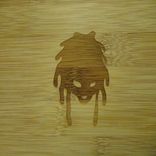 Artwork for "Cherry Love/Remix"