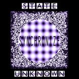 Portada para "Synchronize"