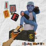 Artwork for "Idgaf"