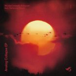 Artwork voor "Analog Collapse"