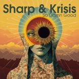 Artwork voor "So Damn Good"