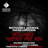 Artwork for "Meinungen Muessen Frei Sein: The Remixes"