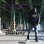 Artwork voor "Damn I'm Fly"