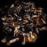 Artwork for "Cicatriz"