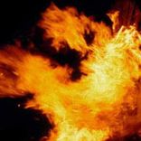 Portada para "Reckless Dub"