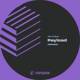 Artwork for "Payload"
