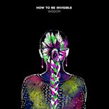 Artwork voor "Wisdom"