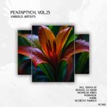 Artwork for "Pentaptych, Vol. 25"