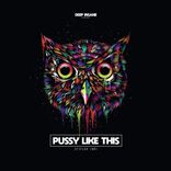 Artwork voor "Pussy Like This"