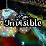 Artwork for "Invisible"