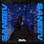 Artwork for "Voices"
