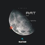 Artwork for "Bodhi / Figtree Bay"