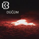Portada para "Düğüm"