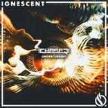 Artwork voor "Undercurrent"