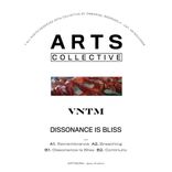 Artwork for "Dissonance Is Bliss"