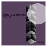 Artwork voor "Unreleased Gems, Vol. 02"