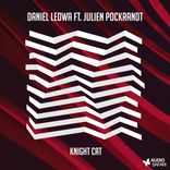 Artwork for "Knight Cat"