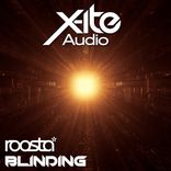 Portada para "Blinding"