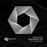 Artwork for "Pragmatic"