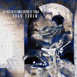 Artwork for "Shah Sanam"