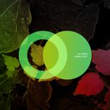 Artwork for "Warm Light"