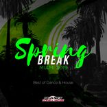 Artwork for "Spring Break Miami 2019: Best of Dance & House"