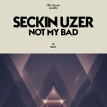 Artwork for "Not My Bad"