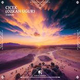 Artwork voor "Cicek (Ozkan Ugur)"