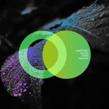 Artwork for "Freedom"