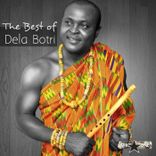 Artwork voor "The Best of Dela Botri"