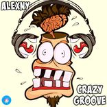 Artwork für "Crazy Groove"