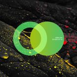 Artwork for "Echoes of Us"