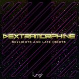 Artwork for "Skylights & Late Nights"