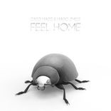 Artwork for "Feel Home"