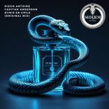 Artwork for "Ovnis en Chile"