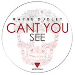 Artwork for "Can't You See (Club Mix)"