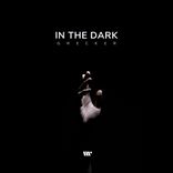 Portada para "In The Dark"