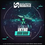 Artwork voor "Bam Bam"