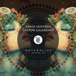 Artwork for "Naturalize"