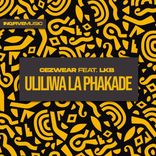 Portada para "Uliliwa La Phakade"