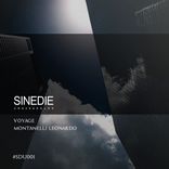 Artwork for "Voyage"