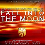 Artwork voor "Fall Into The Moon"