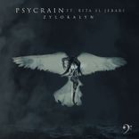 Artwork voor "Zylokalyn"