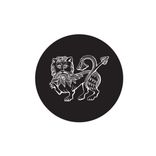 Artwork voor "Lion City"