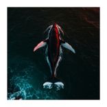 Gorgona (Deep Version)