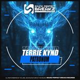 Artwork for "Patronum"