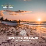 Artwork for "Playa Del Sol"